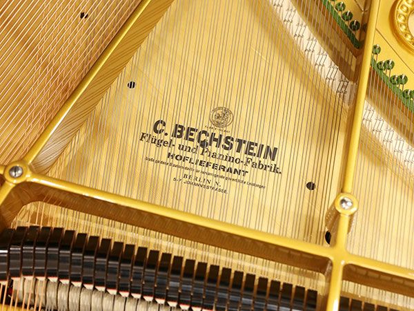 C.BECHSTEIN（ベヒシュタイン）L167_響板