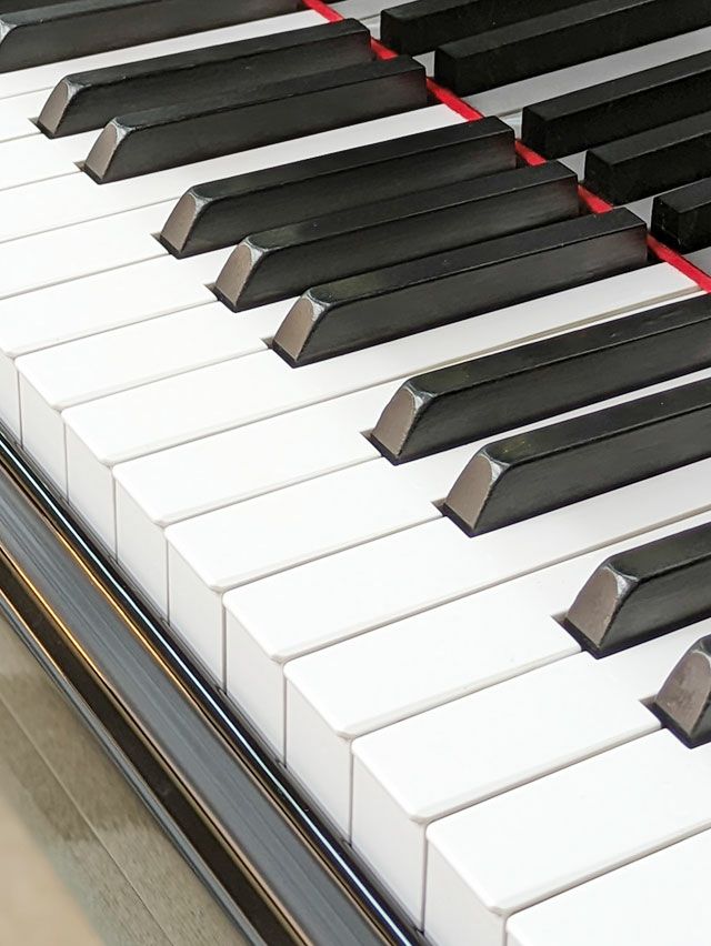 STEINWAY＆SONS（スタインウェイ＆サンズ） D274 中古