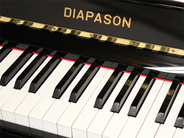 DIAPASON（ディアパソン）DL125_鍵盤