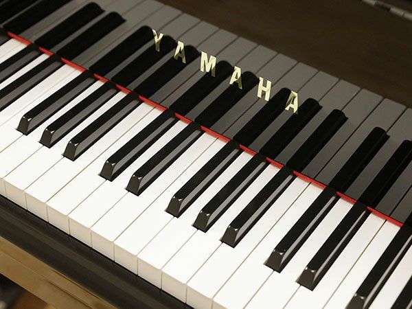 中古グランドピアノ　YAMAHA（ヤマハ）Z1　鍵盤