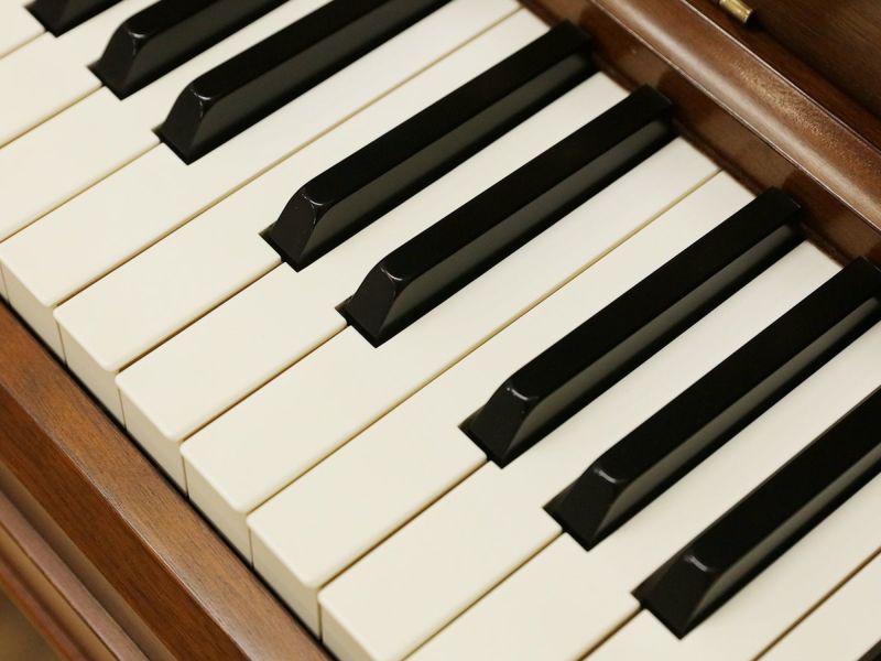 新品ピアノ　KAWAI(カワイ）C-880F 