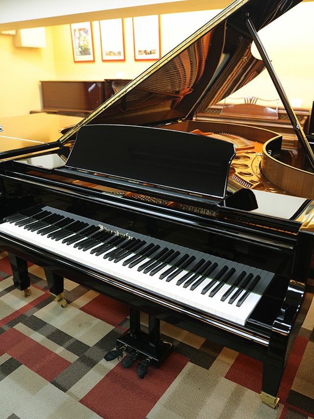 中古グランドピアノ BOSENDORFER（ベーゼンドルファー） 225 「音楽の都ウィーン」で生まれた歴史と伝統のあるピアノ |  中古ピアノ・新品ピアノ販売専門店 グランドギャラリーオンラインショップ