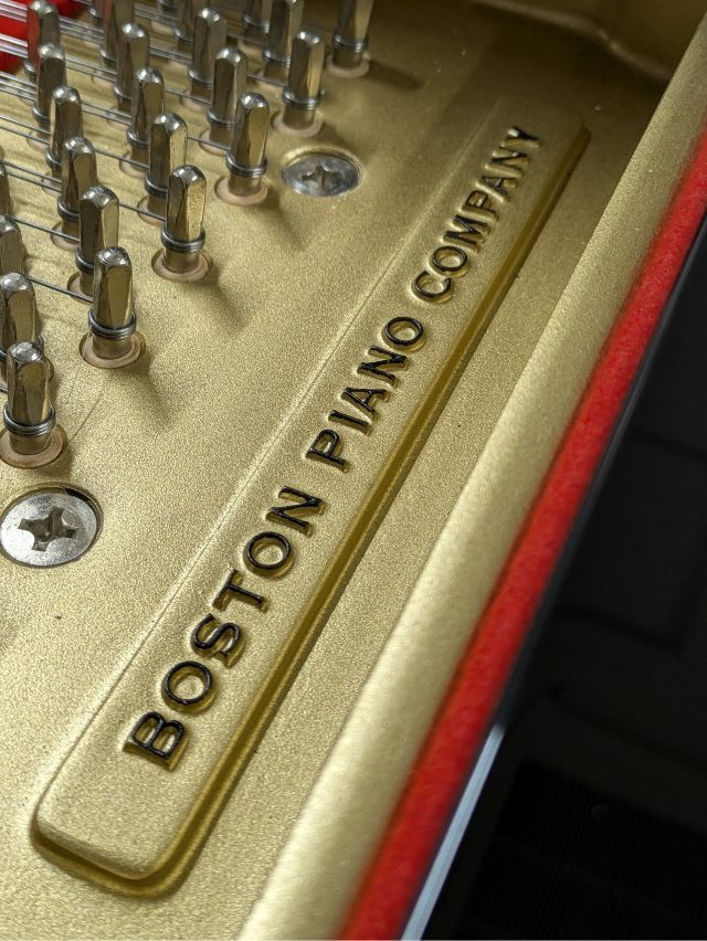 BOSTON（ボストン） GP193II こくいん