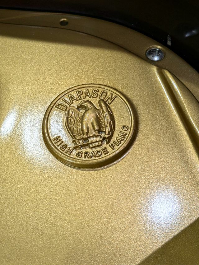 DIAPASON(ディアパソン) D164 中古グランドピアノ 上品な木目艶出し猫