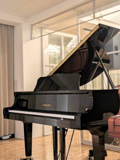 Grand Pianist 小型グランドピアノ 鍵盤楽器