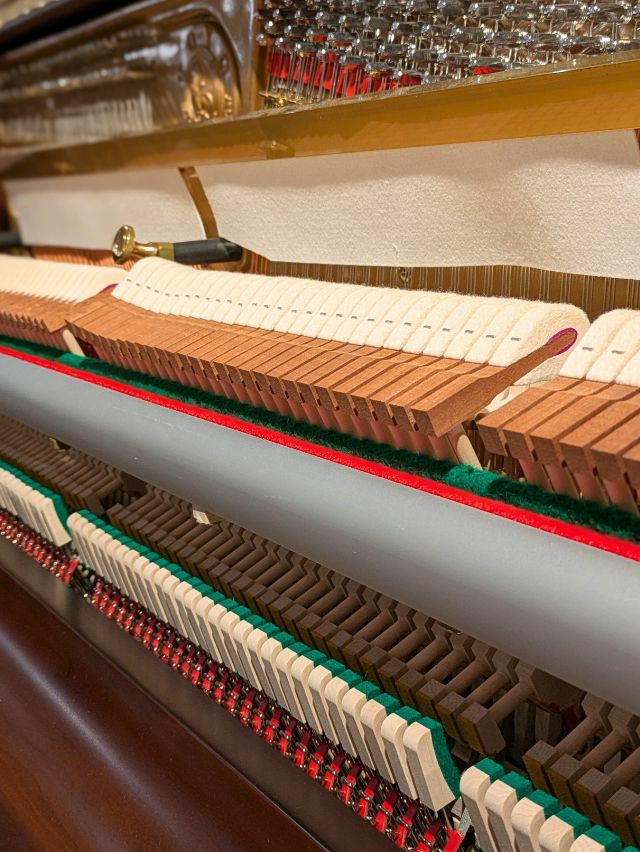 APOLLO(アポロ) A120_PIERRE 新品台数限定復刻モデル 「ピエルレ