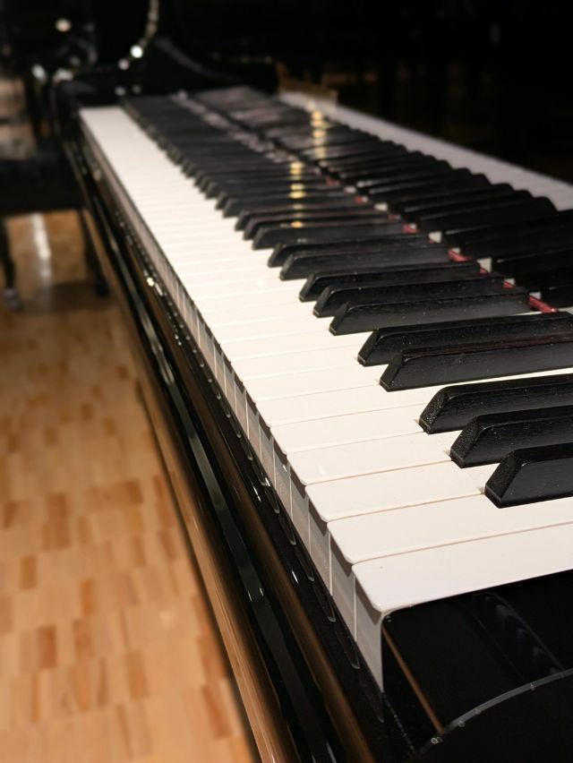 BOSENDORFER(ベーゼンドルファー) 225 中古グランドピアノ 「音楽の都