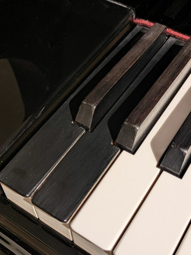 BOSENDORFER(ベーゼンドルファー) 225 中古グランドピアノ 「音楽の都
